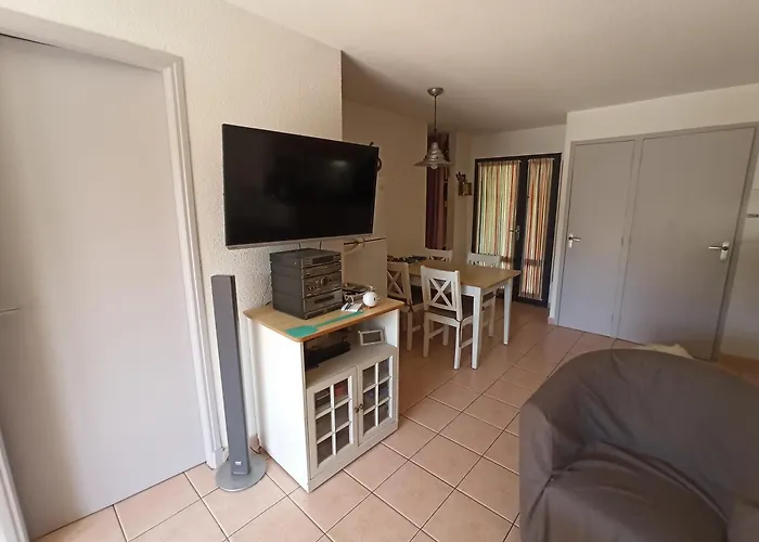 Appartement Le Cap D'agde 2 Pieces Climatise Odalys St Loup En Rdc Avec Terrasse